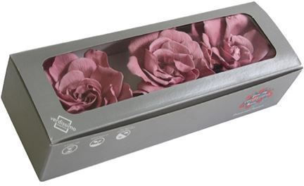 Eternal Rose Cherry Vintage in Box 3pcs Fankon Flowers