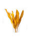 Decorative Artificial Plant Cocculus Yellow 5pcs Fankon Flowers