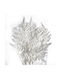 Artificial Decorative Branch Fern Preserved Bleached 5pcs Fankon Flowers