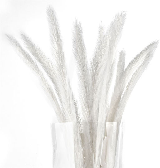 Artificial Decorative Branch Monkey Tail Preserved Bleached 10pcs Fankon Flowers