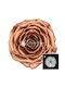 Παντοτινό Τριαντάφυλλο Metallic Fankon Flowers