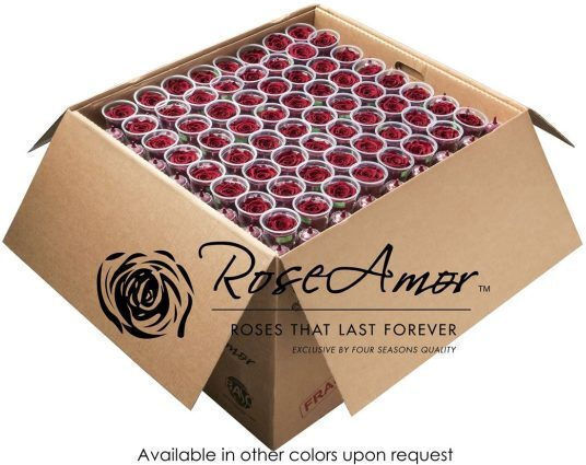 Trandafir Etern Red 640buc Fankon Flowers