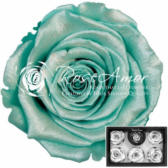 Eternal Rose Pearl Tiffany Blue 6pcs Fankon Flowers