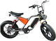 V-store 20" Silber Elektrisch Fahrrad