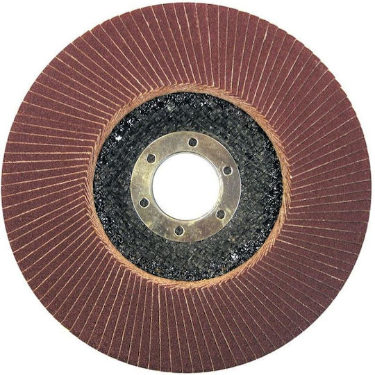 Pro-line Lamellenschleifscheibe 125mm Körnung 120 44814 3086609 5903755448149