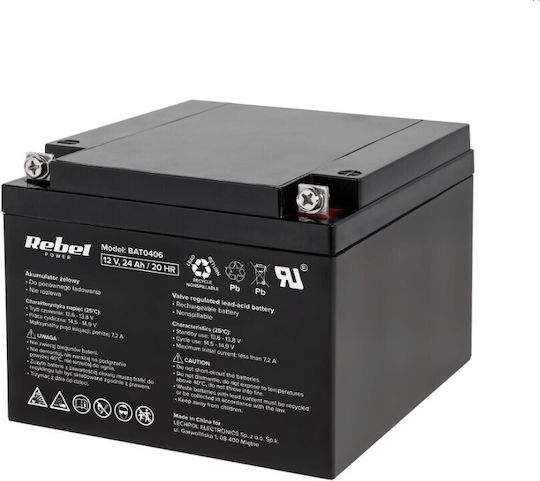 Vipow UPS Battery with Capacity 24Ah and Voltage 12V 165-2058 1pcs