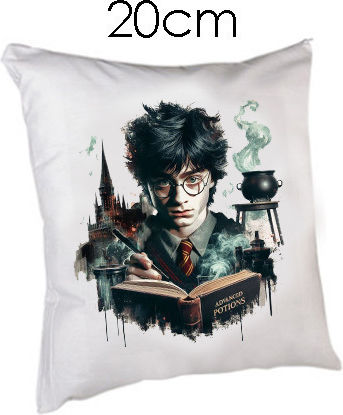 Harry-Potter-Kissen 20cm