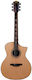 Bromo Acoustic Guitar Cutaway
