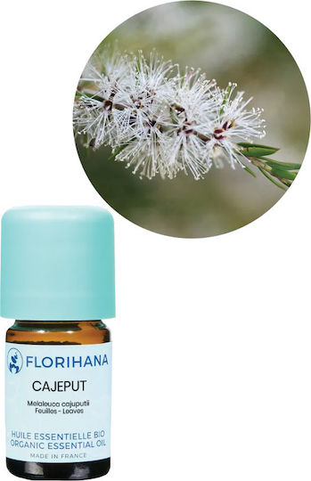 Florihana Cajeput Organic Βιολογικό Αιθέριο Έλαιο 5gr