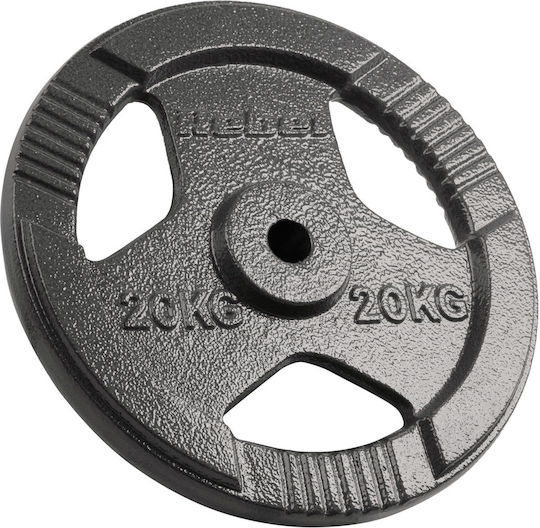 Set of Plates Metal 1 x 20kg Ø31mm with Handles