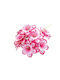 Bouquet of Flowers 12-piece H38 10800071 6 Pieces