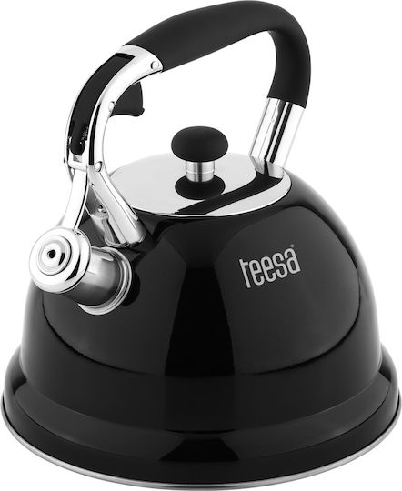 Stainless Steel Teapot 3000ml