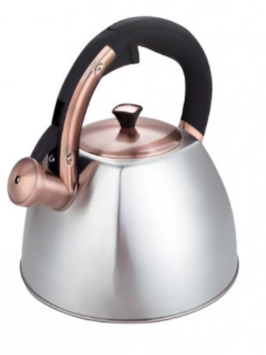 Edenberg Кетъл Неръждаем Сребрист 3000ml EB-8862