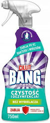 Cillit Bang Power Cleaner Καθαριστικό Spray Μπάνιου 750ml Cillit Bang Power Cleaner Καθαριστικό Spray Μπάνιου 750ml