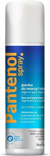 Farmona Panthenol Regenerating and After Sun Care Mousse with Aloe Vera & Panthenol 150ml