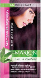 Marion Nr. 66 Prună Sălbatică Marion Nr. 66 Prună Sălbatică