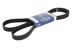 Bosch Grooved Drive Belt