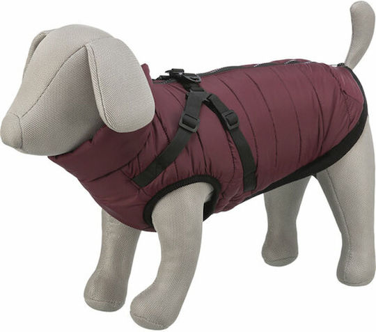 Red Dog Coat with 40cm Back Length