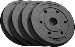 Σετ Δίσκοι 4 x 2.5kg Φ31mm Σετ Δίσκοι 4 x 2.5kg Φ31mm