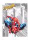 Poster Comic Spiderman Cm019 21cm X 30cm