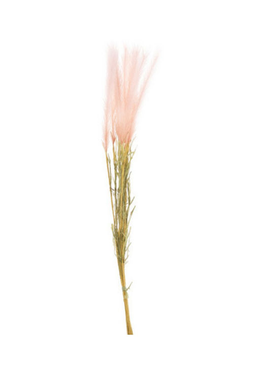 Pampas Branch Thin 86cm A27009 Pink