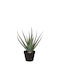 Künstliche Pflanze im Topf Aloe Grün 52cm InTheBox
