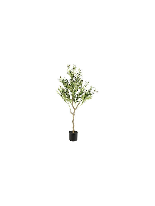 Olive Tree in Pot Φ80xH120cm