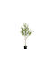 Olive Tree in Pot Φ80xH120cm