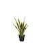 Echtes Touch-Kunststoff-Sansevieria-Pflanzentopf 50cm 04-20025