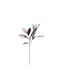 Magnolienblätter Künstlicher Zweig Stoff PVC Silber Bordeaux 78 Set 24 Stück 030780 Stoff PVC
