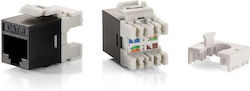 Equip 769212 Keystone 8pcs