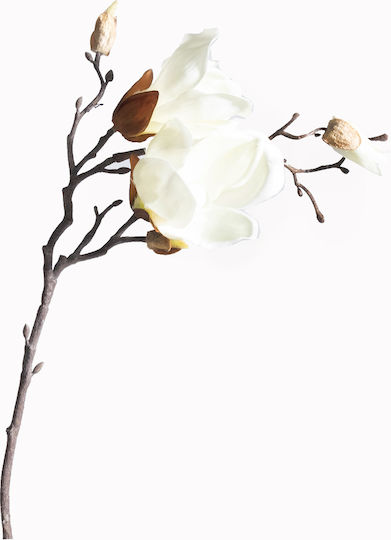 Künstlicher Magnolienzweig Staubblatt Weiß 50 cm 2280-7 Supergreens 2280-7 Weiß