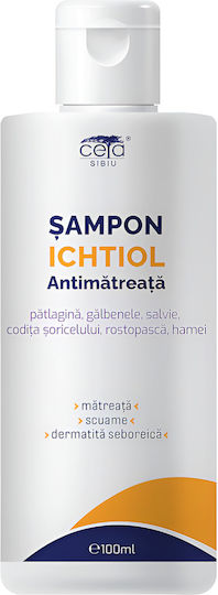 Ceta Sibiu Seborrheic Dermatitis Σαμπουάν κατά της Πιτυρίδας & της Σμηγματορροϊκής Δερματίτιδας για Λιπαρά Μαλλιά 100ml