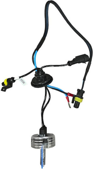 Xenon Set de Iluminare H7 55W 12V 4300K Alb natural