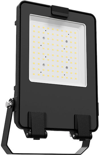 Aca Στεγανός Προβολέας LED 50W Φυσικό Λευκό 4000K IP66