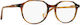 Raen Saunders Pecan Tortoise 51-18
