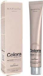 MAXXelle Colora MAXXelle Colora