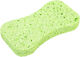 Lionesse Natural Sponge