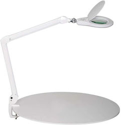 Maul LED Magnifying Lamp Source Dimmable White Maul LED Magnifying Lamp Source Dimmable White