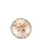 Shells Basket/Set of 3 Ø15cm