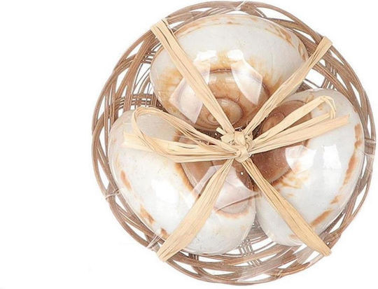 Shells Basket/Set of 3 Ø15cm