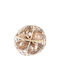 Shell Basket Set of 4, 15cm Diameter