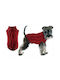 Value Imports Hund Rollkragenpullover Gemütlich Klein 23-25cm Burgunderrot