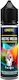 Halo Flavor Shot Arctic Melon 20ml/60ml 1pcs