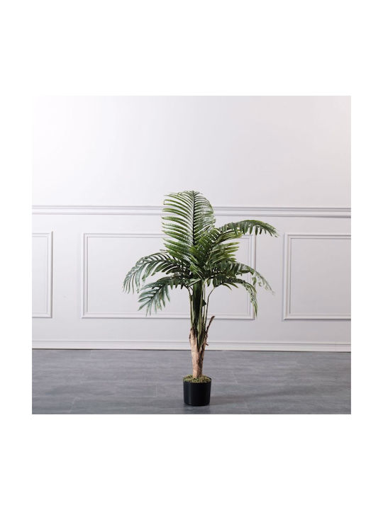Supergreens Outdoor Palm Tree