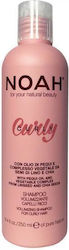 Noah for Beauty Curly Sampon de Par Volum 250ml Noah for Beauty Curly Sampon de Par Volum 250ml