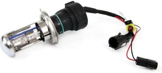 Xenon Сет за Осветление H4 12V 4300К Неутрално бяло