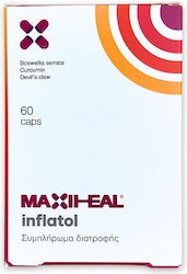 MaxiHeal Inflatol 60 Capsule MaxiHeal Inflatol 60 Capsule