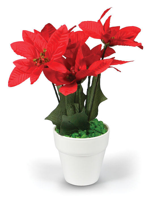 White Poinsettia Pot 5 Flowers 25cm -008772-w