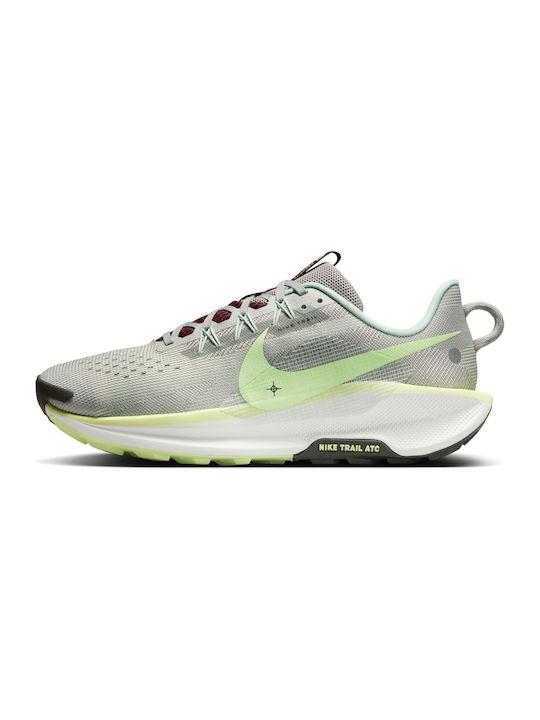 Pegasus Trail 5 Sport Shoes Trail Running GRI